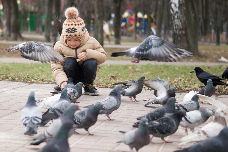 Человек Воробей