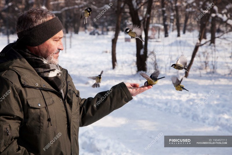 Дети кормят голубей