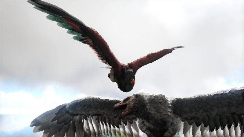 Harpagornis АРК