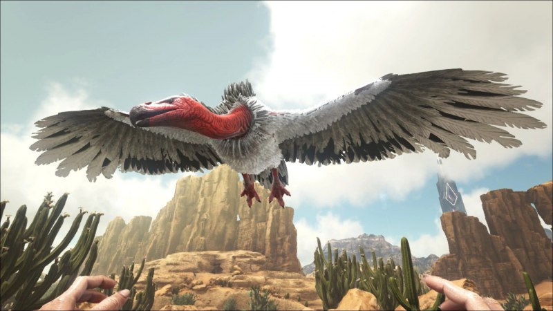 Ark Gryphon