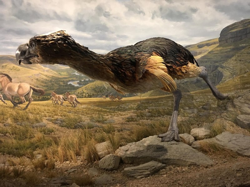 Jiangxisaurus ganzhouensis