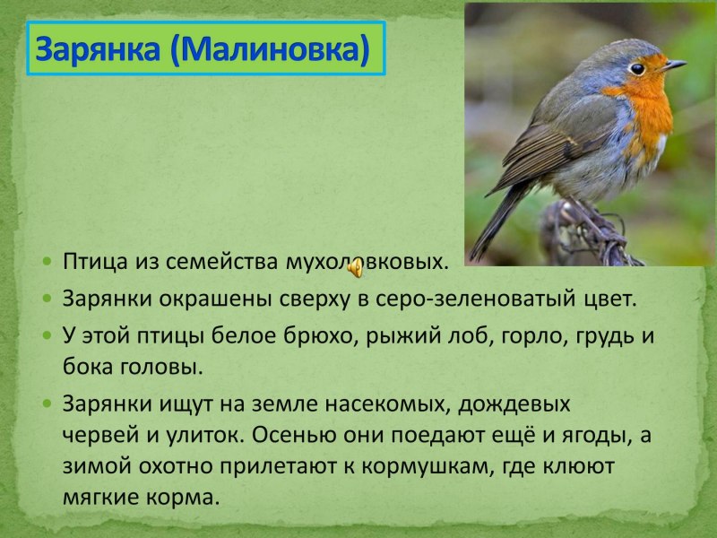Клест и дятел