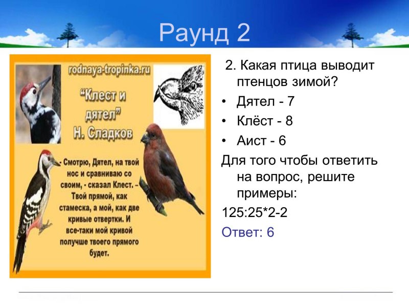 Перелетные птицы для детей