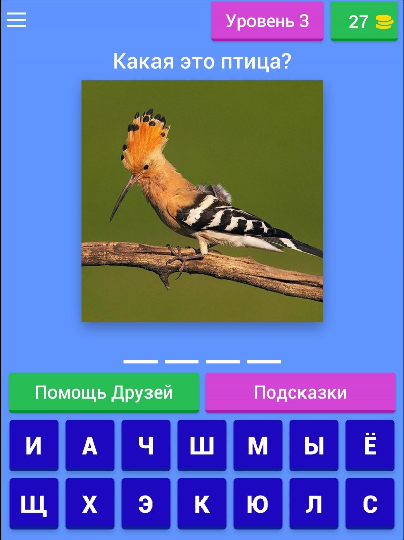 Название викторины про птиц
