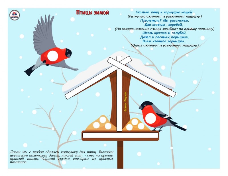 Презентация на тему птицы