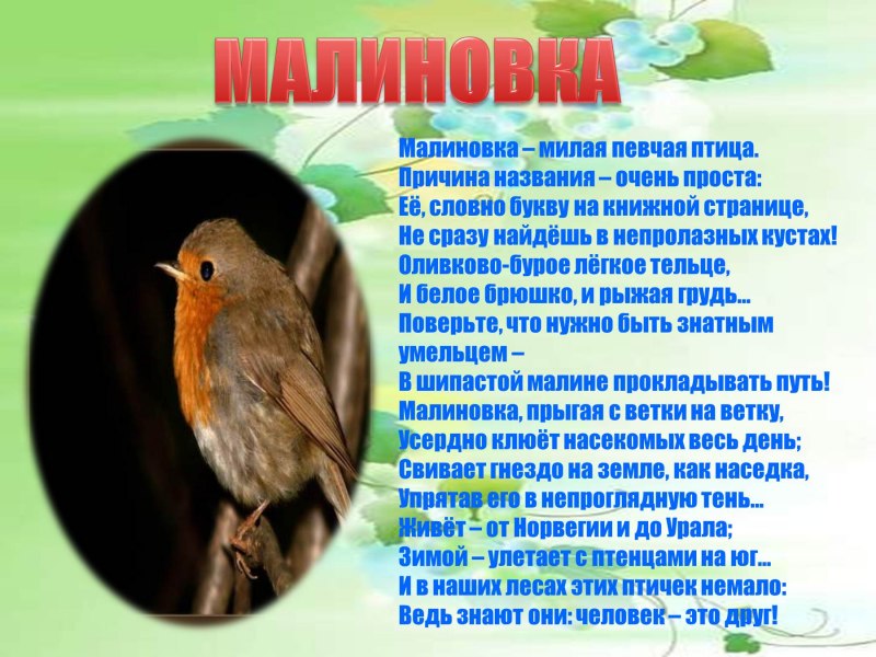 Кукша и Сойка