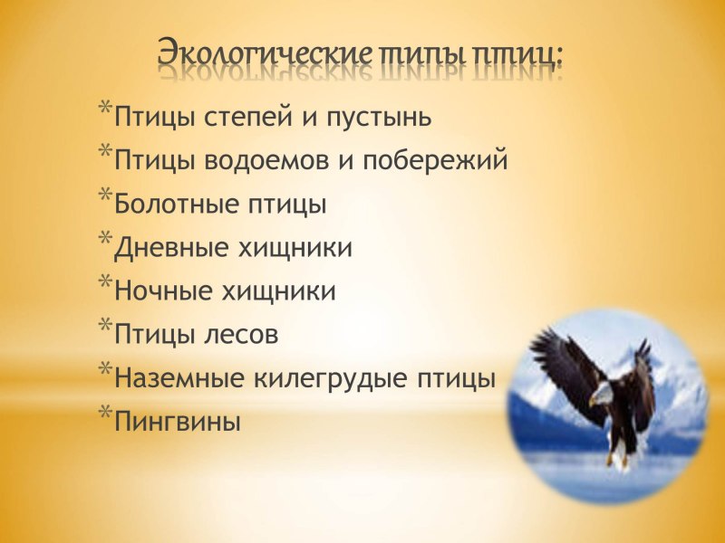 Кто такие птицы окружающий мир
