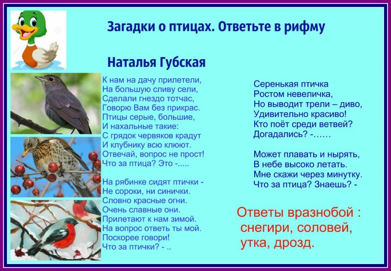 Сказки о птицах для дошкольников