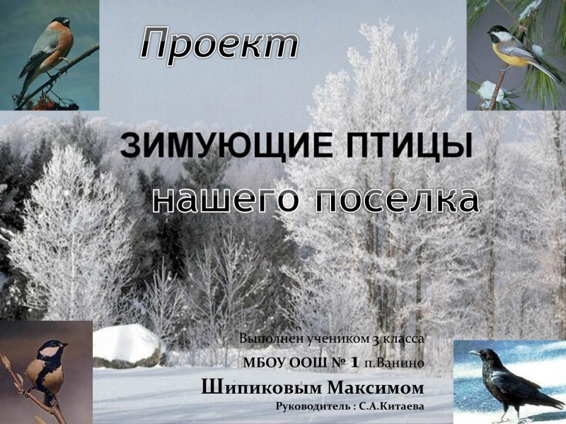 Кроссворд про птиц