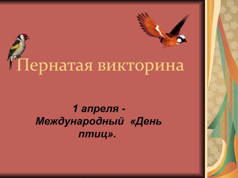 Викторина о пернатых