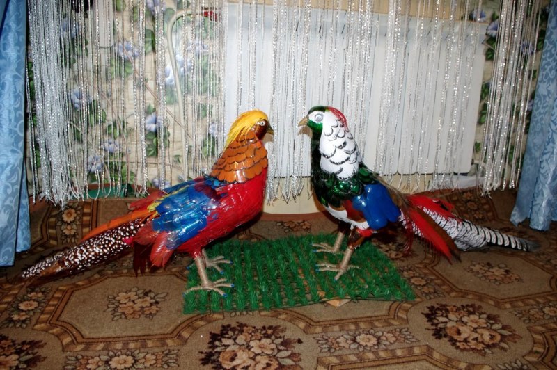 Скворечник из 5 литровой