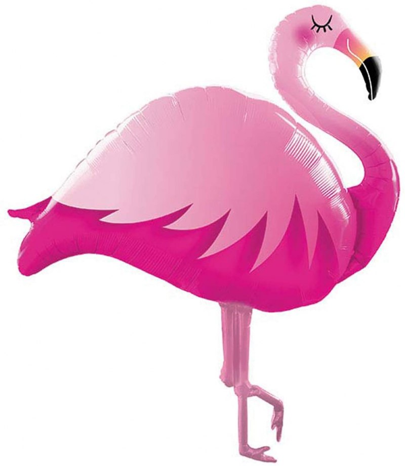 Flamingo Knee
