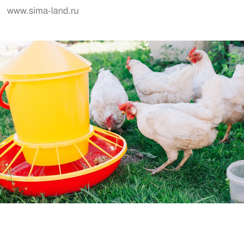 Кормушка для домашней птицы 12кг Бриг