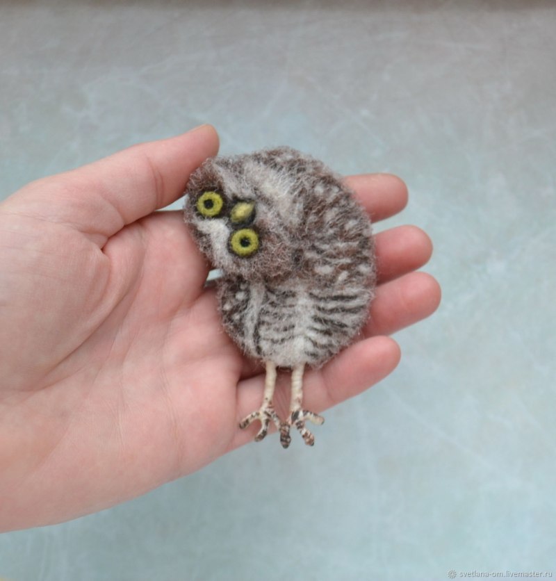 Glaucidium passerinum