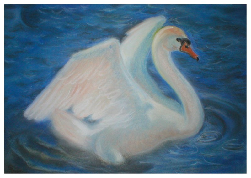 Лебедь рисунок карандашом