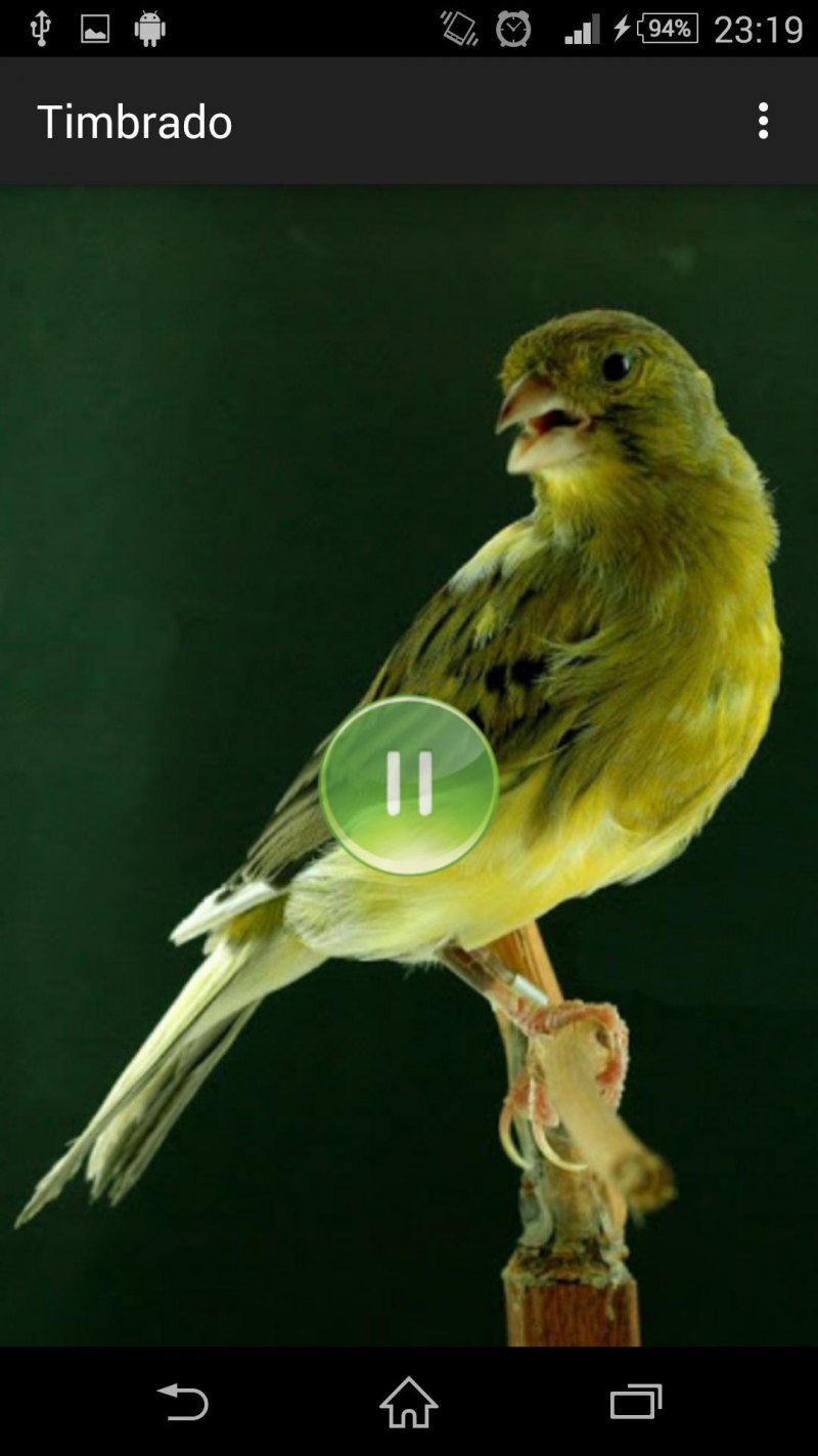 Canario American Singer