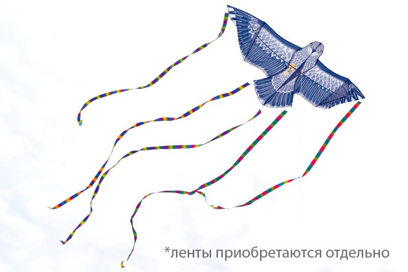 Птица летит за мушкой
