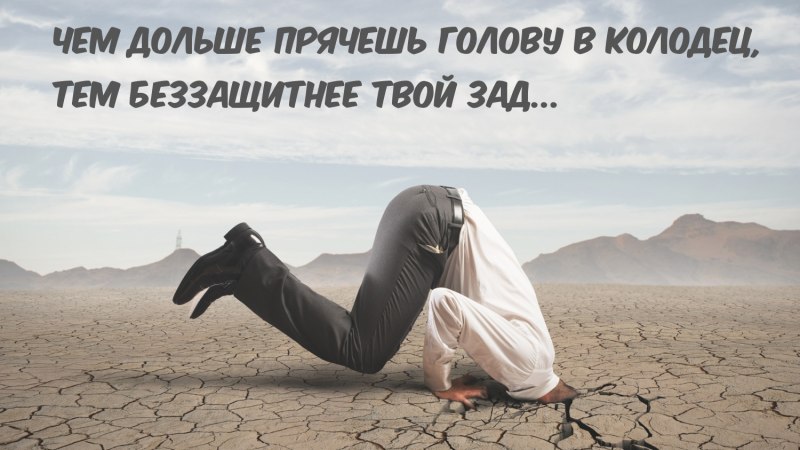 Что едят Страусы
