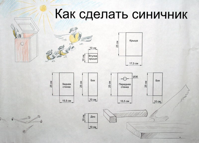 Синичник диаметр Летка
