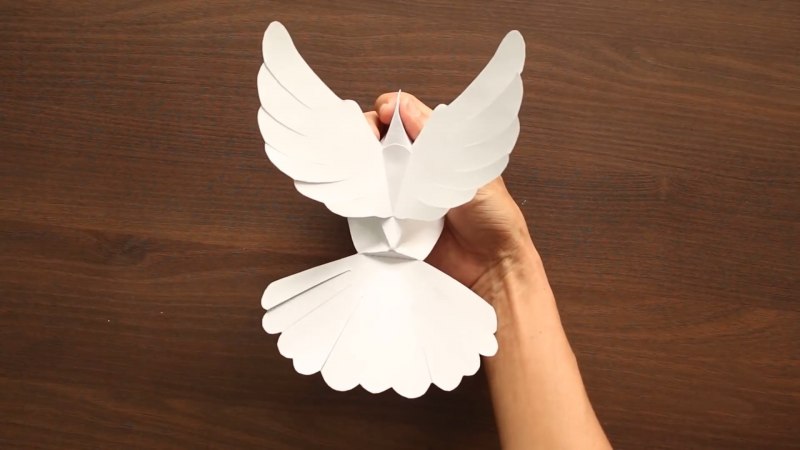 3d пазлы d-Torso из картона