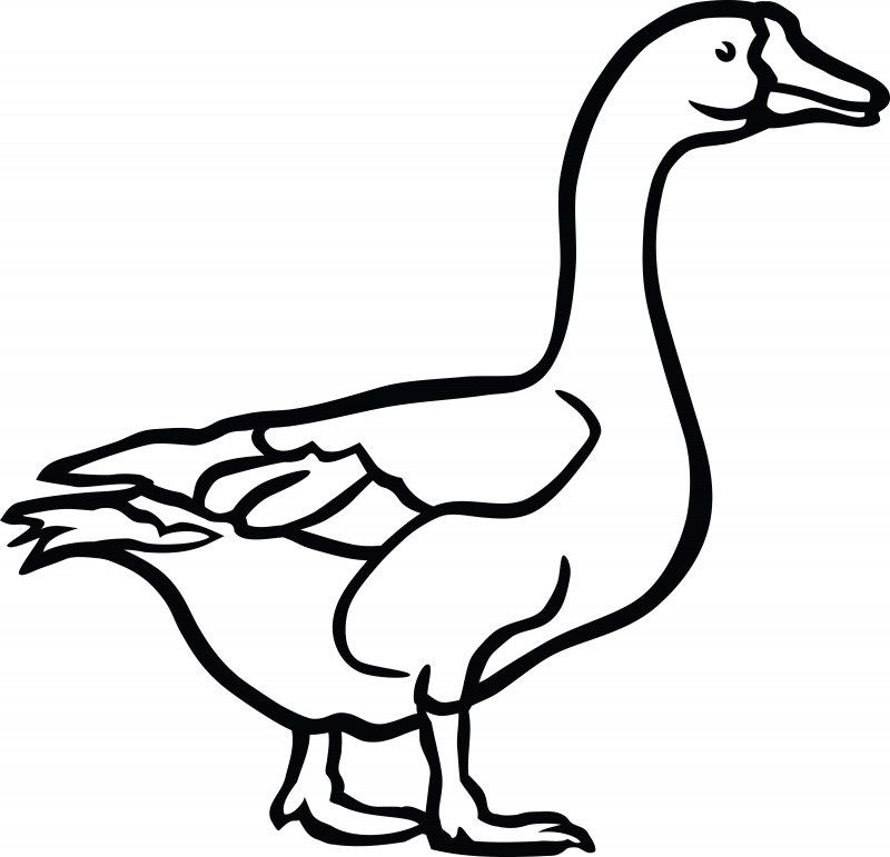 Гусь с ножом untitled Goose