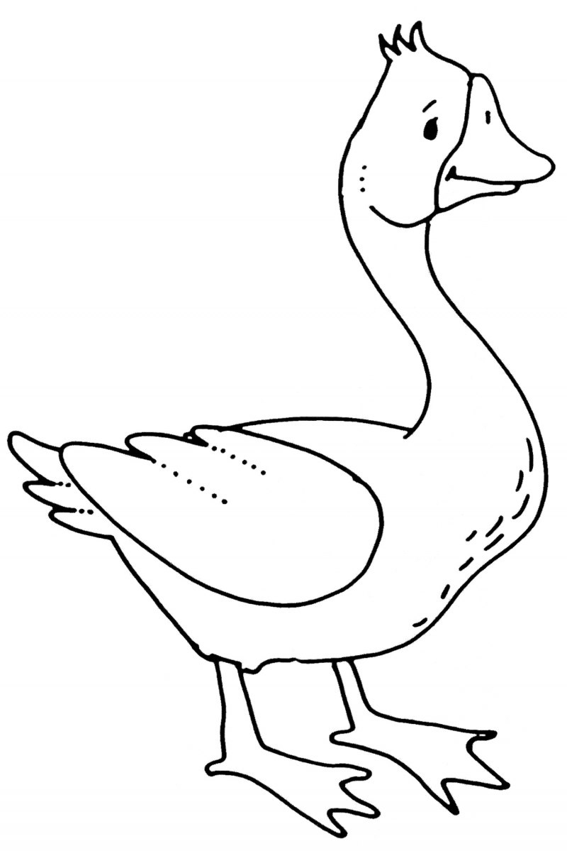 Гусь эскиз