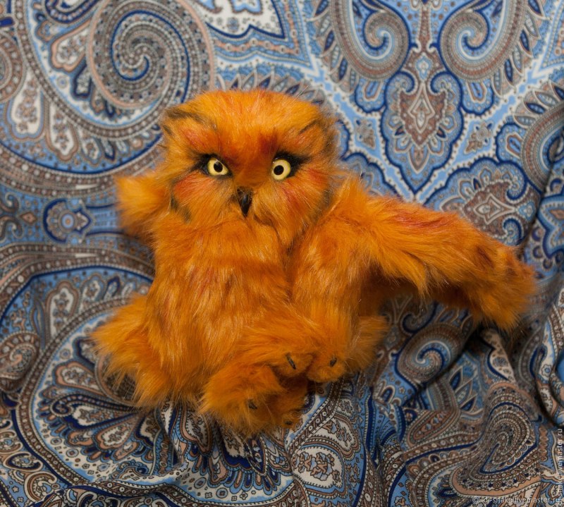 Сова Феникс
