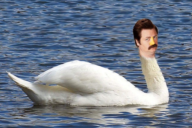 Свэн Свэнсон