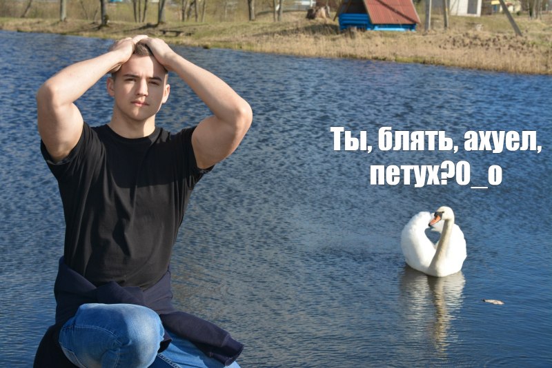 Белый лебедь Абхазия