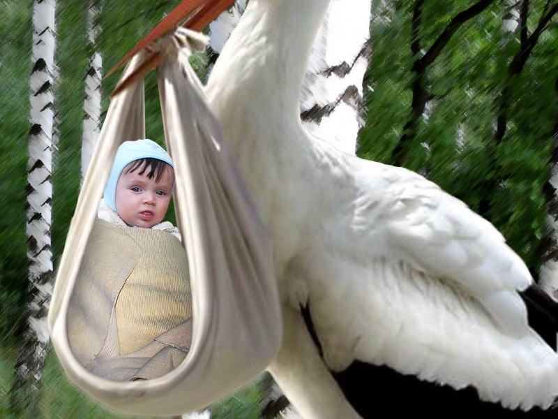 Приносящие детей