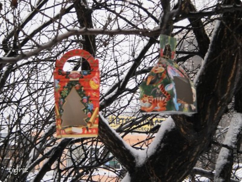 Кормушка для птиц из коробки из под подарка