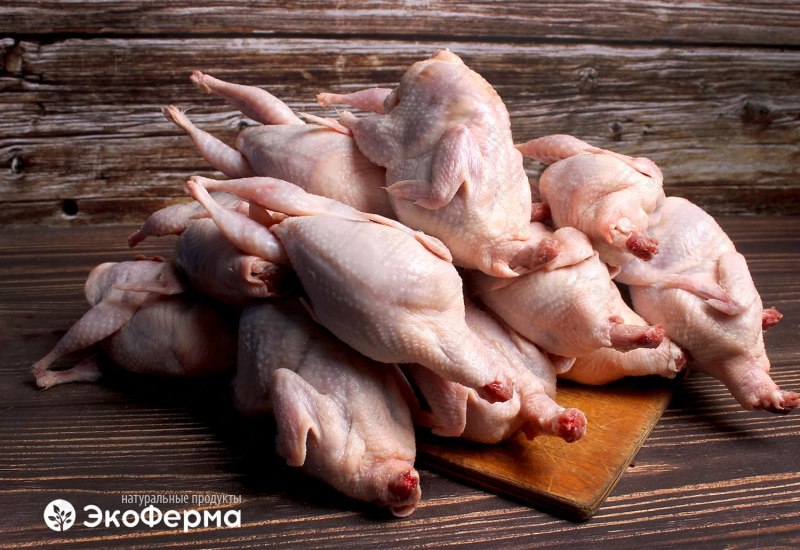 Белый бройлер перепел мясо