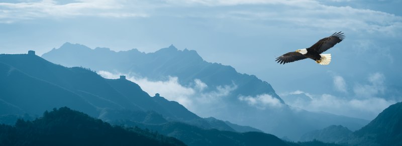 Орел над горами Кавказа