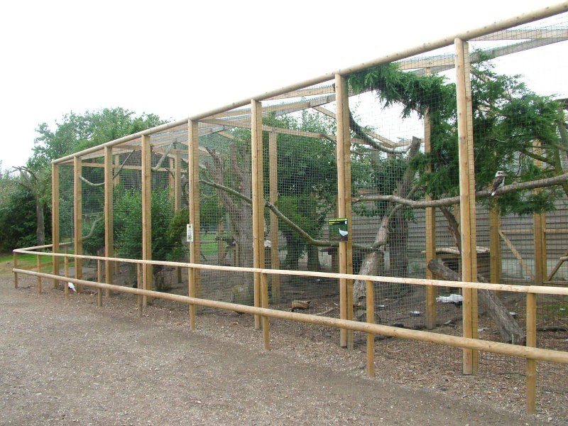 Мини курятник