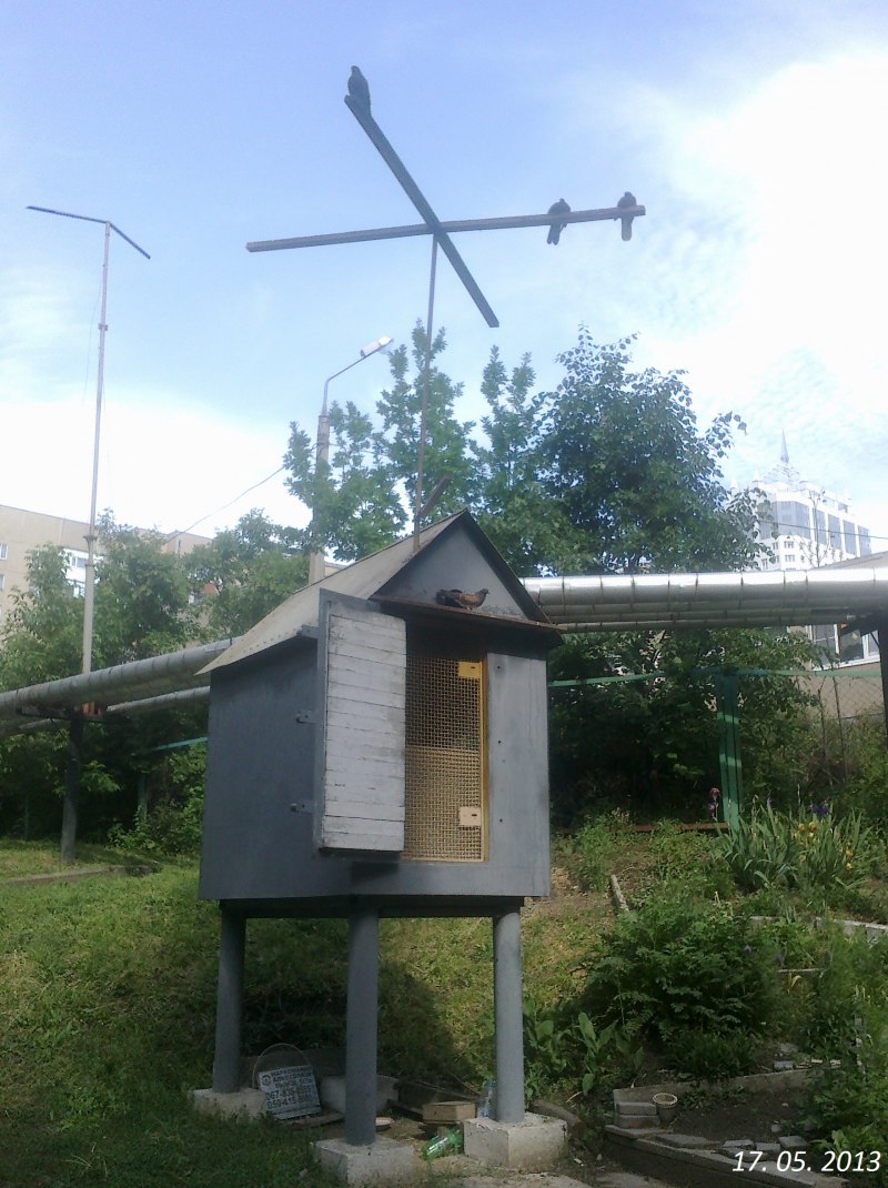 Кочешков голубятня