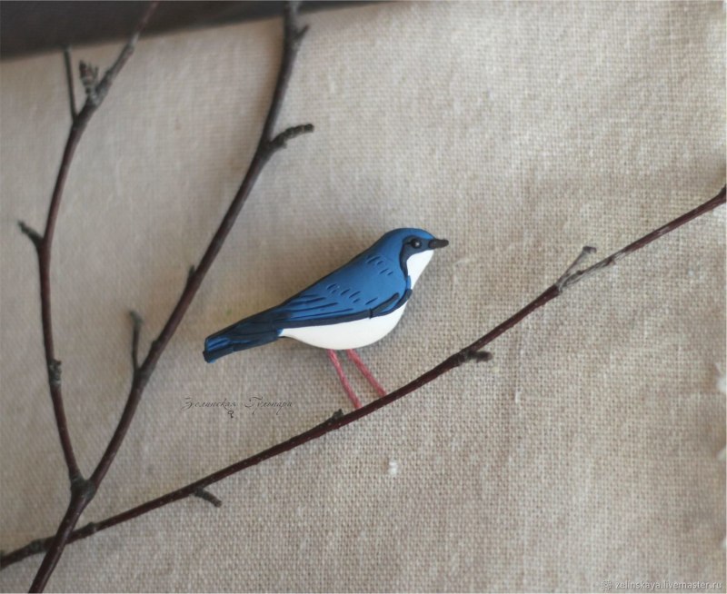 Соловей синий (Luscinia cyane).