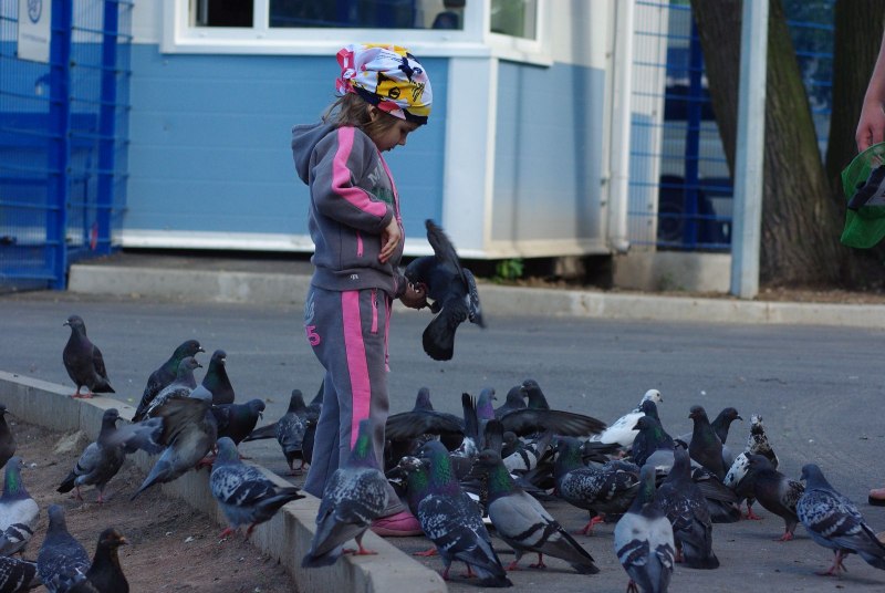Костюм голубя взрослый