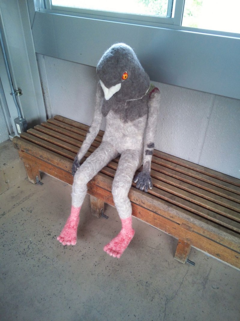 Пиль куриль болель