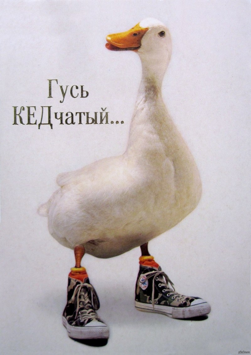 Смешной Гусь