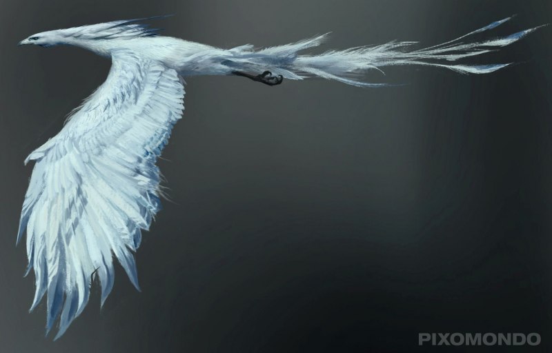 Fly Fenix брошь