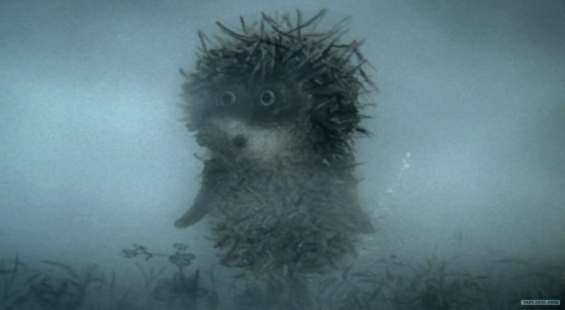 Ежик в тумане Silent Hill
