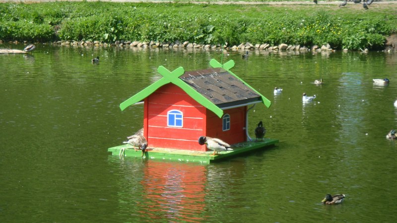 Ржев утки