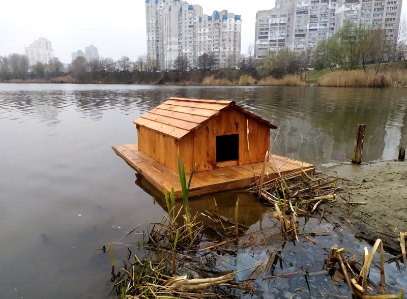 Фото пасека у озера