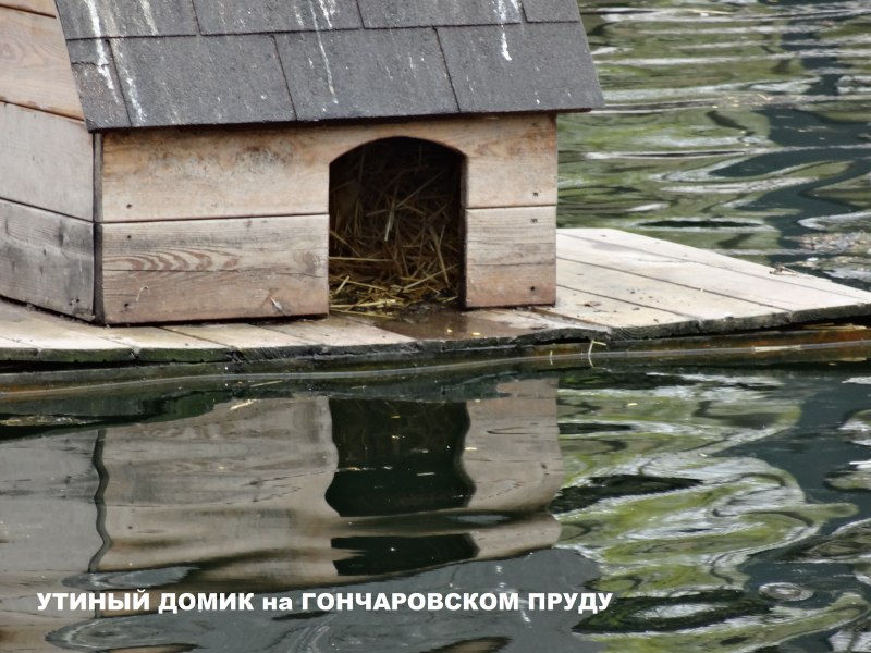 Плавающий домик для уток