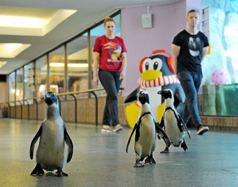 London Zoo