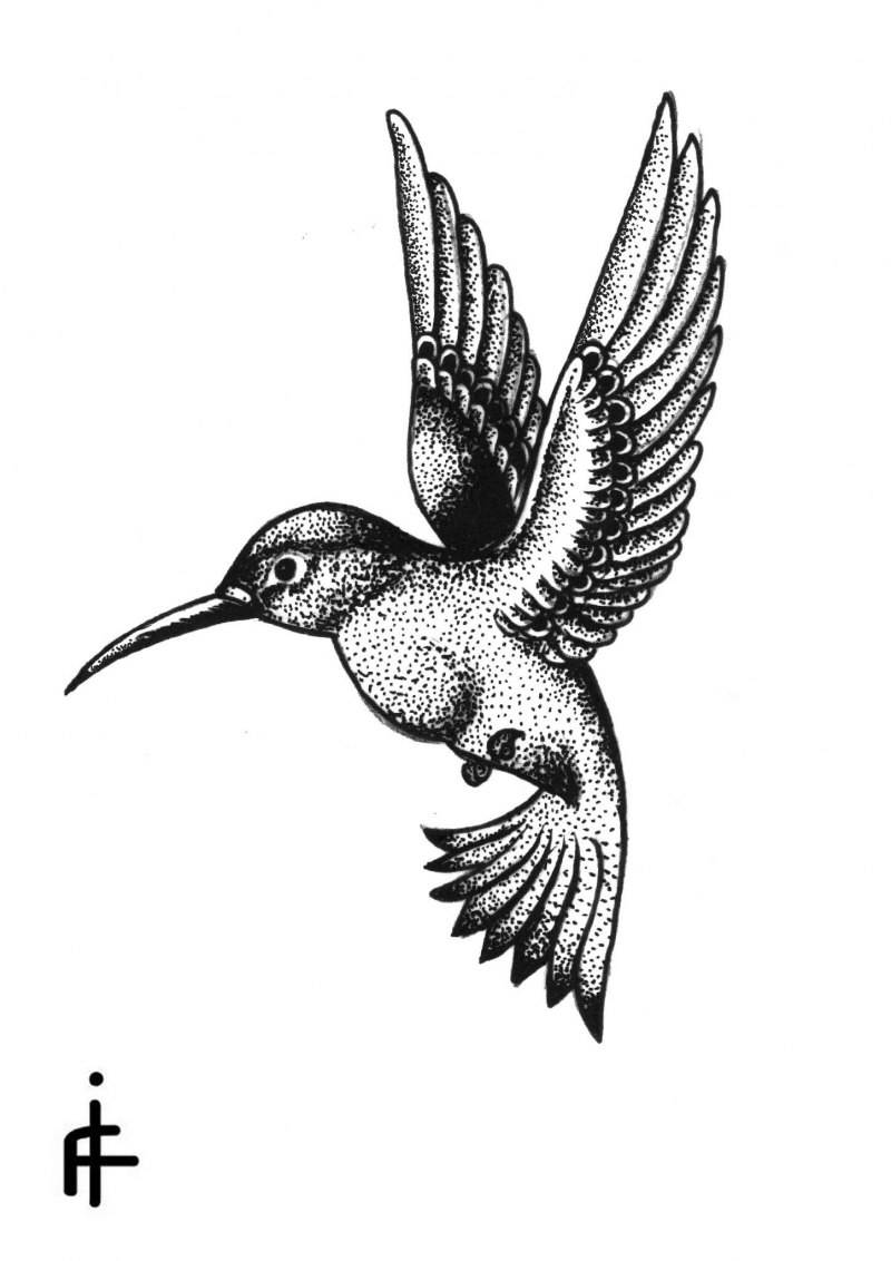 Pretty Birds drawling