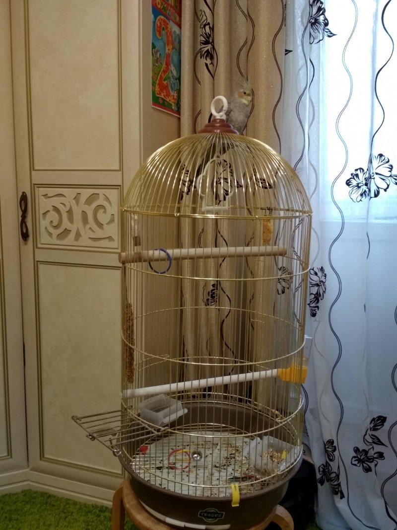 Клетка для грызунов Inter-Zoo Dysty g260 эмаль (42*28*35)