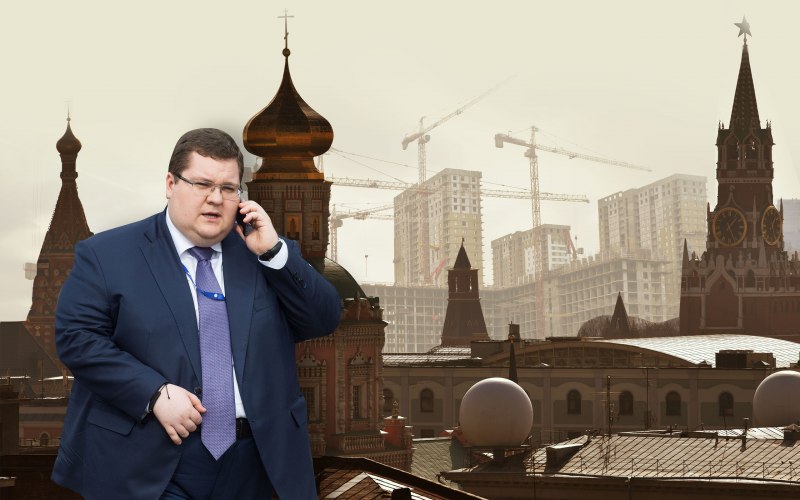 Кто ест чайку из животных
