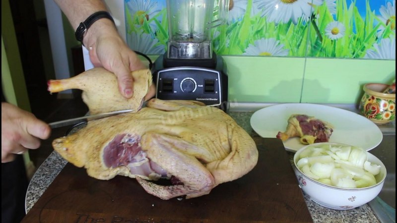 Лапа утенка