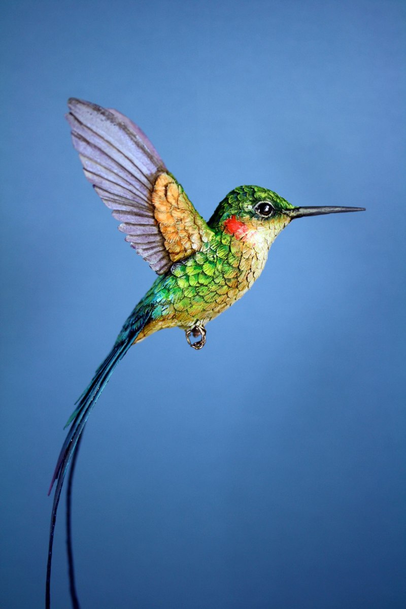 Loddigesia Mirabilis